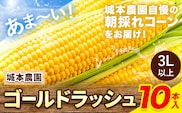 《先行受付開始》とうもろこし 産地直送 朝採れ スイートコーン ゴールドラッシュ 10本セット  とうもろこし スイートコーン とうもろこし スイートコーン　城本農園《2026年7月中旬-8月中旬出荷》---ubuyama_jmn_3_10p---