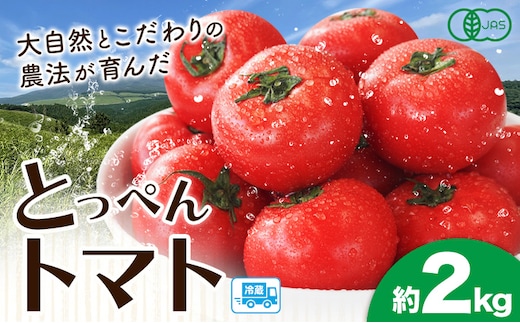 有機JASとっぺんトマト 約2kg 旬 お取り寄せ 詰め合わせ 贈答 ギフト お中元 お歳暮 熊本 阿蘇 産山村 送料無料 トマト 無農薬 有機7月上旬-8月下旬頃出荷---ubuyama_swm_4_2kg---
