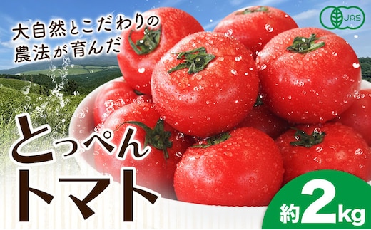 有機JASとっぺんトマト 約2kg 旬 お取り寄せ 詰め合わせ 贈答 ギフト お中元 お歳暮 熊本 阿蘇 産山村 送料無料 トマト 無農薬 有機《11月上旬-12月末頃出荷》---ubuyama_swm_7_2kg---
