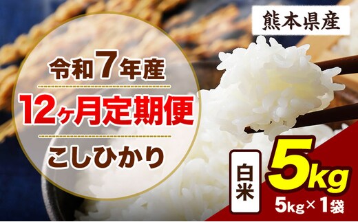 【12ヶ月定期便】令和7年産 定期便 こしひかり 5kg 白米 阿蘇 うぶやま 米 定期便 熊本県産 ふるさと納税 精米 ひの 米 こめ ふるさとのうぜい コシヒカリ コメ お米 おこめ《お申込み翌月から出荷》---ubuyama_lcl_782_mo12---