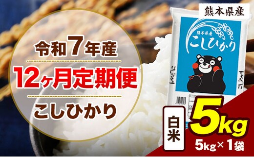 【12ヶ月定期便】令和7年産 定期便 こしひかり 5kg 白米 阿蘇 うぶやま 米 定期便 熊本県産 ふるさと納税 精米 ひの 米 こめ ふるさとのうぜい コシヒカリ コメ お米 おこめ《お申込み翌月から出荷》---ubuyama_lcl_986_mo12---