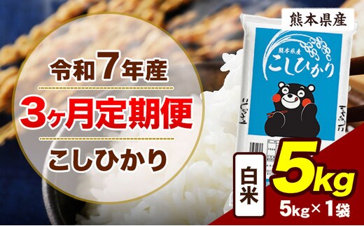 【3ヶ月定期便】令和7年産 定期便 こしひかり 5kg 白米 阿蘇 うぶやま 米 定期便 熊本県産 ふるさと納税 精米 ひの 米 こめ ふるさとのうぜい コシヒカリ コメ お米 おこめ《お申込み翌月から出荷》---ubuyama_lcl_1085_mo3---