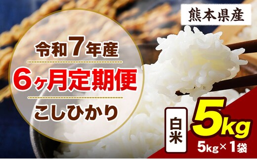 【6ヶ月定期便】令和7年産 定期便 こしひかり 5kg 白米 阿蘇 うぶやま 米 定期便 熊本県産 ふるさと納税 精米 ひの 米 こめ ふるさとのうぜい コシヒカリ コメ お米 おこめ《お申込み翌月から出荷》---ubuyama_lcl_778_mo6---