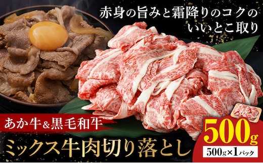 あか牛＆黒毛和牛ミックス牛肉切り落とし 500g 熊本県畜産農業協同組合《60日以内に出荷予定(土日祝除く)》熊本県 産山村 くまもとあか牛 くまもと黒毛和牛 切り落とし 牛肉 肉 熊本県産 和牛 あか牛 黒毛和牛【配送不可地域あり】（離島）---ubuyama_ktn_15_500g---