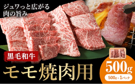 牛肉 くまもと 黒毛和牛 モモ 焼肉用 500g 熊本県畜産農業協同組合 【配送不可地域：離島】《60日以内に出荷予定(土日祝除く)》 熊本県 産山村 牛肉 くまもと黒毛和牛 焼肉 モモ肉 もも 赤身 BBQ---ubuyama_ktn_6_500g---
