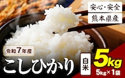 令和7年産  こしひかり 5kg 《7-14日以内に出荷予定》令和7年産 熊本県産 ふるさと納税  白米 精米 ひの 米 こめ ふるさとのうぜい コシヒカリ コメ お米 おこめ---ubuyama_lcl_772_5kg---
