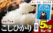 令和7年産  こしひかり 5kg 《7-14日以内に出荷予定》令和7年産 熊本県産 ふるさと納税  白米 精米 ひの 米 こめ ふるさとのうぜい コシヒカリ コメ お米 おこめ---ubuyama_lcl_1171_5kg---