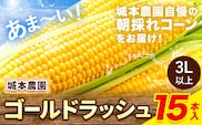 《先行受付開始》とうもろこし 産地直送 朝採れ スイートコーン ゴールドラッシュ 15本 とうもろこし スイートコーン とうもろこし スイートコーン とうもろこし《2026年7月中旬-8月中旬出荷》---ubuyama_jmn_4_15p---