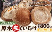阿蘇・産山村産 原木生しいたけ 中玉800g(200g×4袋) 椎茸 しいたけ 生しいたけ しいたけのさかい《6月中旬-11月下旬頃出荷》原木生しいたけ 贈答 ギフト お中元 お歳暮 熊本 阿蘇 産山村 送料無料 ---ubuyama_sts_8_800g---