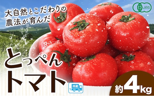 有機JASとっぺんトマト 約4kg 旬 お取り寄せ 詰め合わせ 贈答 ギフト お中元 お歳暮 熊本 阿蘇 産山村 送料無料 トマト 無農薬 有機7月上旬-8月下旬頃出荷---ubuyama_swm_5_4kg---