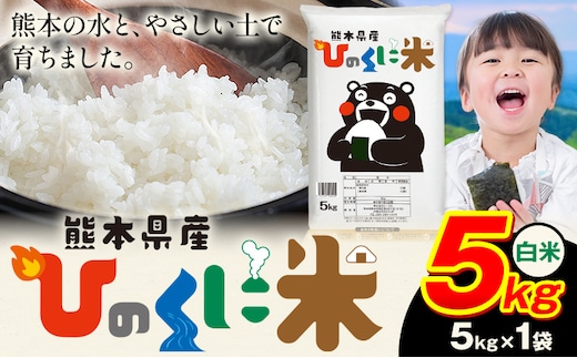 白米 ひのくに米 5kg 《7-14日以内に出荷予定》 食品 米 こめ コメ 熊本県産 ふるさと納税 お米 おこめ 熊本---ubuyama_lcl_756_5kg---
