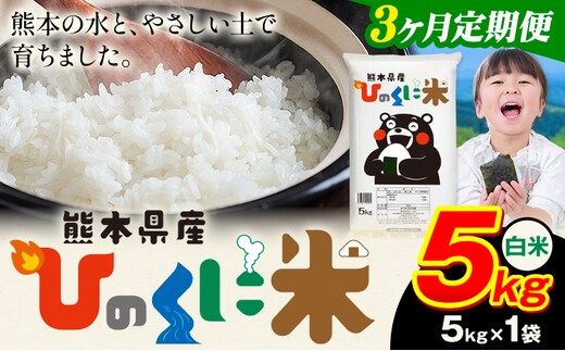 【3ヶ月定期便】 白米 ひのくに米 5kg 《お申込み翌月から出荷》 食品 米 こめ コメ 熊本県産 ふるさと納税 お米 おこめ 熊本---ubuyama_lcl_622_mo3---