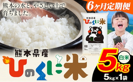 【6ヶ月定期便】 白米 ひのくに米 5kg 《お申込み翌月から出荷》 食品 米 こめ コメ 熊本県産 ふるさと納税 お米 おこめ 熊本---ubuyama_lcl_762_mo6---