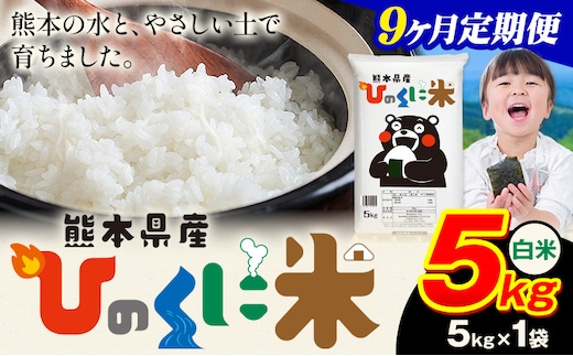 【9ヶ月定期便】 白米 ひのくに米 5kg 《お申込み翌月から出荷》 食品 米 こめ コメ 熊本県産 ふるさと納税 お米 おこめ 熊本---ubuyama_lcl_764_mo9---