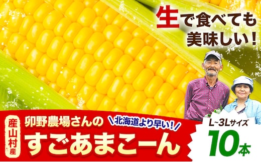 【先行予約】 すごあまこーん とうもろこし 極甘 スイートコーン ゴールドラッシュ 恵味 10本 《2026年7月中旬-8月上旬頃出荷予定》熊本県 産山村 野菜 夏野菜 コーン トウモロコシ 一番果 冷蔵---ubuyama_lcl_754_10p--