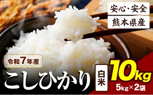 令和7年産 こしひかり 10kg 《7-14日以内に出荷予定》令和7年産 熊本県産 ふるさと納税 白米 精米 ひの 米 こめ ふるさとのうぜい コシヒカリ コメ お米 おこめ---ubuyama_lcl_671_10kg---