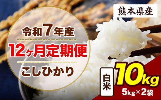 【12ヶ月定期便】令和7年産 定期便 こしひかり 10kg 白米 阿蘇 うぶやま 米 定期便 熊本県産 ふるさと納税 精米 ひの 米 こめ ふるさとのうぜい コシヒカリ コメ お米 おこめ《お申込み翌月から出荷》---ubuyama_lcl_719_mo12---