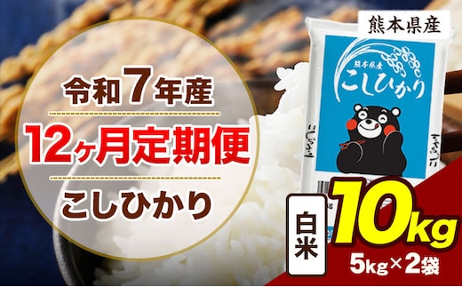 【12ヶ月定期便】令和7年産 定期便 こしひかり 10kg 白米 阿蘇 うぶやま 米 定期便 熊本県産 ふるさと納税 精米 ひの 米 こめ ふるさとのうぜい コシヒカリ コメ お米 おこめ《お申込み翌月から出荷》---ubuyama_lcl_988_mo12---