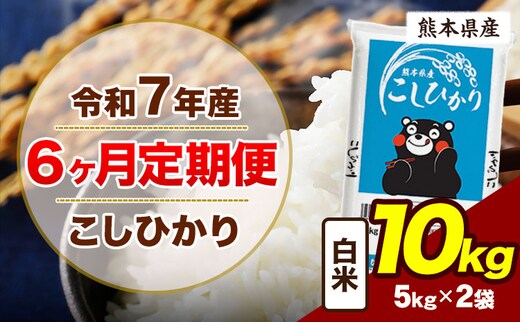 【6ヶ月定期便】令和7年産 定期便 こしひかり 10kg 白米 阿蘇 うぶやま 米 定期便 熊本県産 ふるさと納税 精米 ひの 米 こめ ふるさとのうぜい コシヒカリ コメ お米 おこめ《お申込み翌月から出荷》---ubuyama_lcl_1093_mo6---