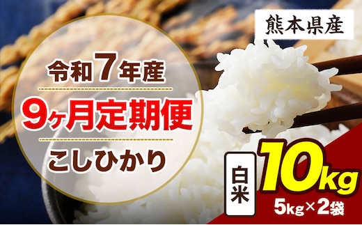 【9ヶ月定期便】令和7年産 定期便 こしひかり 10kg 白米 阿蘇 うぶやま 米 定期便 熊本県産 ふるさと納税 精米 ひの 米 こめ ふるさとのうぜい コシヒカリ コメ お米 おこめ《申込月の翌月から出荷開始》---ubuyama_lcl_711_mo9---