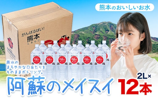 水 熊本 の おいしい お水 阿蘇山 天然水 阿蘇のメイスイ 2L × 12本 2ケース 丸富産業《30日以内に出荷予定(土日祝除く)》熊本県 産山村 水 天然水 みず 熊本 飲料 熊本県 ミネラルウォーター---ubuyama_mrt_26_12p---