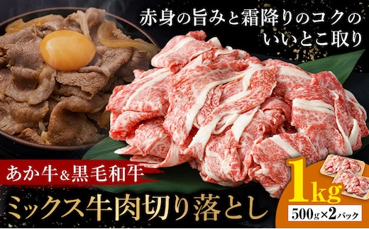 あか牛＆黒毛和牛ミックス牛肉切り落とし 1kg 熊本県畜産農業協同組合《60日以内に出荷予定(土日祝除く)》熊本県 産山村 くまもとあか牛 くまもと黒毛和牛 切り落とし 牛肉 肉 熊本県産 和牛 あか牛 黒毛和牛【配送不可地域あり】（離島）---ubuyama_ktn_16_1000g---