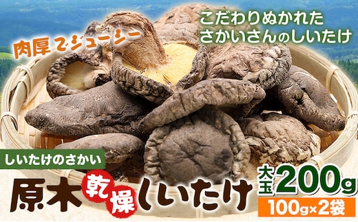 しいたけ 阿蘇 原木乾燥しいたけ 大玉 200g《30日以内に出荷予定(土日祝除く)》原木 干し 乾燥 しいたけ 原木栽培 産山村 しいたけのさかい---ubuyama_sts_10_200g---