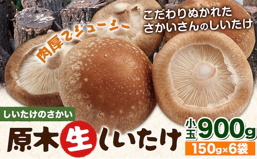 阿蘇・産山村産 原木生しいたけ 小玉900g(150g×6袋) 椎茸 しいたけ 生しいたけ しいたけのさかい《6月中旬-11月下旬頃出荷》原木生しいたけ 贈答 ギフト お中元 お歳暮 熊本 阿蘇 産山村 送料無料 ---ubuyama_sts_7_900g---
