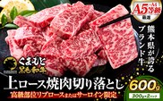 A4～A5等級 黒毛和牛 切り落とし 上 ロース 焼肉 切り落とし 600g《30日以内に出荷予定(土日祝除く)》くまもと黒毛和牛 熊本県 産山村 上ロース 焼肉用 黒毛和牛 焼肉 肉 お肉 和牛 A5 A4 300g リブロース サーロイン---ubuyama_lcl_544_600g---