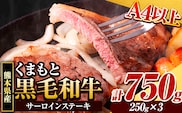 くまもと黒毛和牛 サーロインステーキ 750g 牛肉 冷凍 《30日以内に出荷予定(土日祝除く)》 くまもと黒毛和牛 黒毛和牛 冷凍庫 個別 取分け 小分け 個包装 ステーキ肉 にも サーロインステーキ---ubuyama_lcl_809_750g---