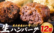 熊本県産あか牛100%生ハンバーグ 140g×12個入り 合計1680g 《30日以内に出荷予定(土日祝除く)》---ubuyama_lcl_1318_12p---