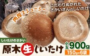 阿蘇・産山村産 原木生しいたけ 小玉900g(150g×6袋) 椎茸 しいたけ 生しいたけ しいたけのさかい《6月中旬-11月下旬頃出荷》原木生しいたけ 贈答 ギフト お中元 お歳暮 熊本 阿蘇 産山村 送料無料 ---ubuyama_sts_7_900g---