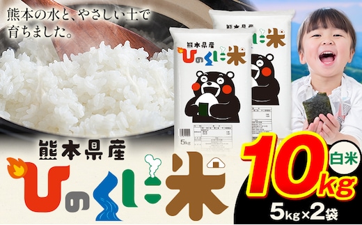 白米 ひのくに米 10kg 《7-14日以内に出荷予定》 食品 米 こめ コメ 熊本県産 ふるさと納税 お米 おこめ 熊本---ubuyama_lcl_599_10kg---