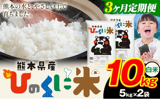 【3ヶ月定期便】 白米 ひのくに米 10kg 《お申込み翌月から出荷》 食品 米 こめ コメ 熊本県産 ふるさと納税 お米 おこめ 熊本---ubuyama_lcl_623_mo3---