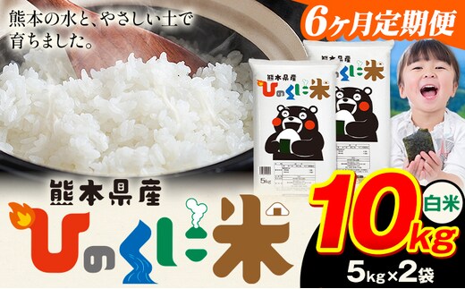 【6ヶ月定期便】 白米 ひのくに米 10kg 《お申込み翌月から出荷》 食品 米 こめ コメ 熊本県産 ふるさと納税 お米 おこめ 熊本---ubuyama_lcl_631_mo6---