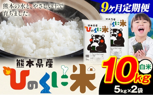 【9ヶ月定期便】 白米 ひのくに米 10kg 《申込月の翌月から出荷開始》 食品 米 こめ コメ 熊本県産 ふるさと納税 お米 おこめ 熊本---ubuyama_lcl_639_mo9---