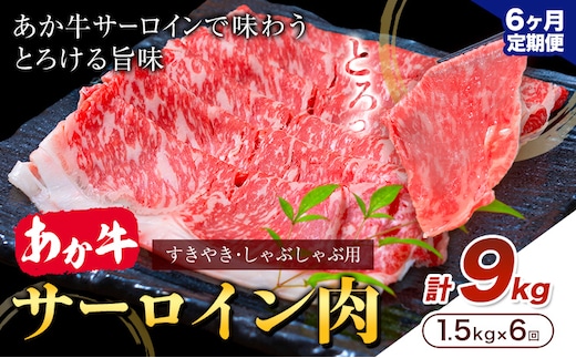 あか牛 すきやき・しゃぶしゃぶ用 サーロイン肉 6ヶ月定期便 合計9kg 1回 500g×3パック 合同会社たべたせいか《お申し込みの翌月から出荷》赤牛 牛肉 肉 お肉 すきやき すき焼き しゃぶしゃぶ サーロイン 熊本県産 産山村 送料無料---ubuyama_tbt_22_mo6---