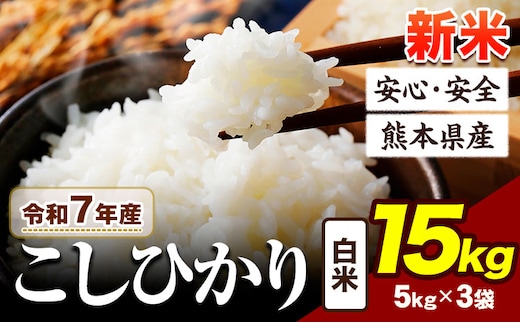 令和7年産 こしひかり 新米 15kg 《7-14日以内に出荷予定》令和7年産 熊本県産 ふるさと納税 新米 白米 精米 ひの 米 こめ ふるさとのうぜい コシヒカリ コメ お米 おこめ---ubuyama_lcl_672_15kg---