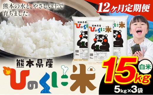 【12ヶ月定期便】 白米 ひのくに米 15kg 《お申込み翌月から出荷》 食品 米 こめ コメ 熊本県産 ふるさと納税 お米 おこめ 熊本---ubuyama_lcl_648_mo12---