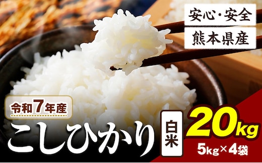 令和7年産 こしひかり 20kg 《7-14日以内に出荷予定》令和7年産 熊本県産 ふるさと納税 白米 精米 ひの 米 こめ ふるさとのうぜい コシヒカリ コメ お米 おこめ---ubuyama_lcl_673_20kg---