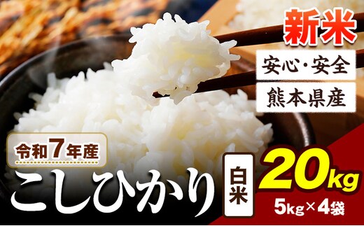 令和7年産 こしひかり 新米 20kg 《7-14日以内に出荷予定》令和7年産 熊本県産 ふるさと納税 新米 白米 精米 ひの 米 こめ ふるさとのうぜい コシヒカリ コメ お米 おこめ---ubuyama_lcl_673_20kg---