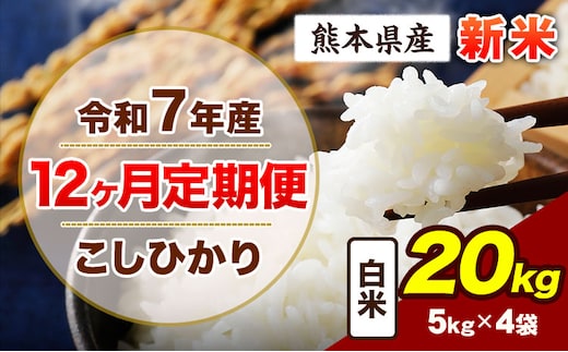【12ヶ月定期便】令和7年産 定期便 こしひかり 20kg 新米 白米 阿蘇 うぶやま 米 定期便 熊本県産 ふるさと納税 精米 ひの 米 こめ ふるさとのうぜい コシヒカリ コメ お米 おこめ《お申込み翌月から出荷》---ubuyama_lcl_721_mo12---