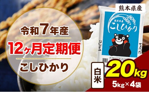 【12ヶ月定期便】令和7年産 定期便 こしひかり 20kg 白米 阿蘇 うぶやま 米 定期便 熊本県産 ふるさと納税 精米 ひの 米 こめ ふるさとのうぜい コシヒカリ コメ お米 おこめ《お申込み翌月から出荷》---ubuyama_lcl_990_mo12---