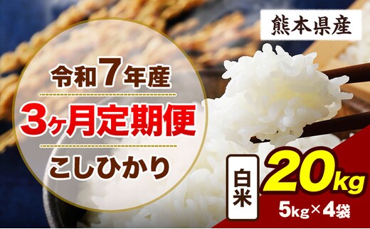 【3ヶ月定期便】令和7年産 定期便 こしひかり 20kg 白米 阿蘇 うぶやま 米 定期便 熊本県産 ふるさと納税 精米 ひの 米 こめ ふるさとのうぜい コシヒカリ コメ お米 おこめ《お申込み翌月から出荷》---ubuyama_lcl_701_mo3---