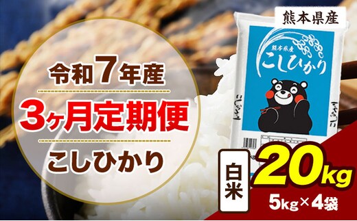 【3ヶ月定期便】令和7年産 定期便 こしひかり 20kg 白米 阿蘇 うぶやま 米 定期便 熊本県産 ふるさと納税 精米 ひの 米 こめ ふるさとのうぜい コシヒカリ コメ お米 おこめ《お申込み翌月から出荷》---ubuyama_lcl_1089_mo3---