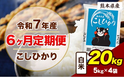 【6ヶ月定期便】令和7年産 定便 こしひかり 20kg 白米 阿蘇 うぶやま 米 定期便 熊本県産 ふるさと納税 精米 ひの 米 こめ ふるさとのうぜい コシヒカリ コメ お米 おこめ《お申込み翌月から出荷》---ubuyama_lcl_1095_mo6---