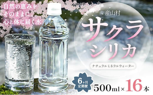 【6ヶ月定期便】サクラシリカ 500ml 16本 定期便 みずの里《お申込み翌月から出荷》熊本県 阿蘇郡 産山村 ミネラルウォーター シリカ 水 天然水 鉱水 ラベルレス ラベルなし---ubuyama_mzs_21_mo6---