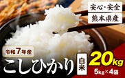 令和7年産 こしひかり  20kg 《7-14日以内に出荷予定》令和7年産 熊本県産 ふるさと納税  白米 精米 ひの 米 こめ ふるさとのうぜい コシヒカリ コメ お米 おこめ---ubuyama_lcl_673_20kg---
