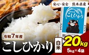 令和7年産 こしひかり  20kg 《7-14日以内に出荷予定》令和7年産 熊本県産 ふるさと納税  白米 精米 ひの 米 こめ ふるさとのうぜい コシヒカリ コメ お米 おこめ---ubuyama_lcl_1175_20kg---