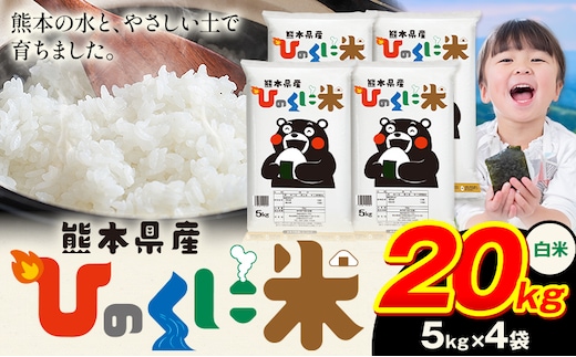 白米 ひのくに米 20kg 《7-14日以内に出荷予定》 食品 米 こめ コメ 熊本県産 ふるさと納税 お米 おこめ 熊本---ubuyama_lcl_601_20kg---